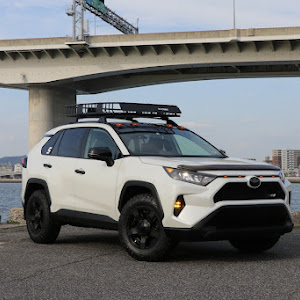 RAV4 MXAA54