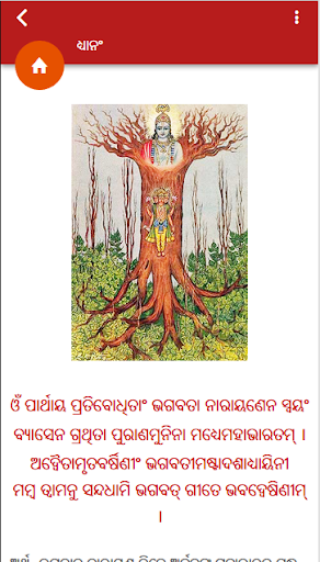 Odia Oriya Bhagavad Gita