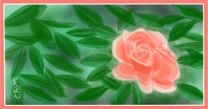 Pink Rose
