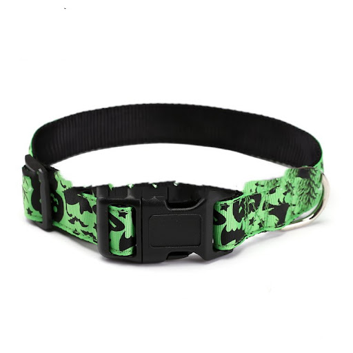 Title 1, Halloween pet collar