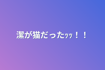 潔が猫だったｯｯ！！