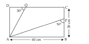 Trigonometric Ratios