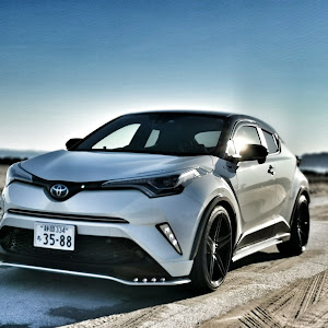 C-HR ZYX10