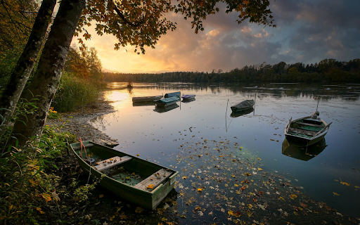 Boat docked on the river