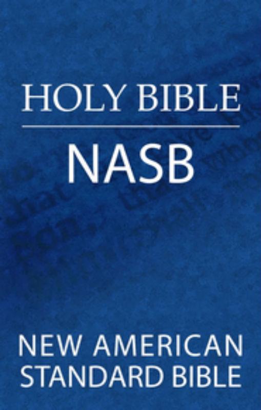 NASB Bible Offline Screen 3
