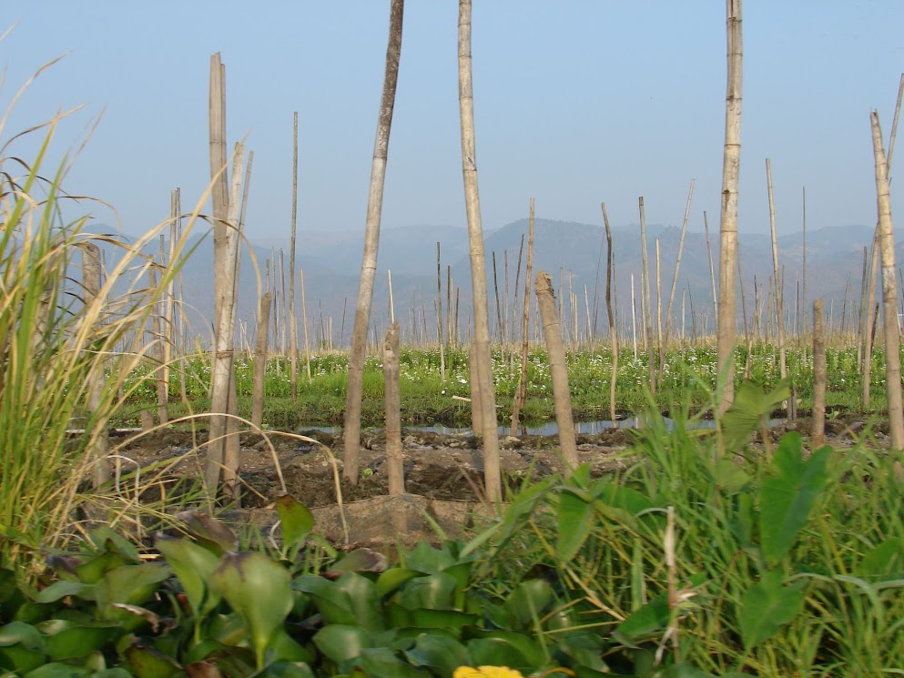 lac inle