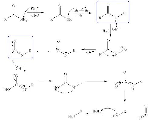 Solution Image