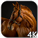 Horses 4K Video Live Wallpaper icon