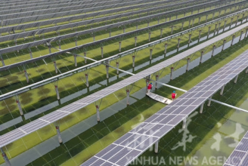 Instalirani kapacitet obnovljivih izvora energije u Kini beleži stabilan rast