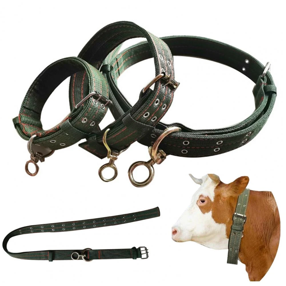 Title 6, Vierlagige Nylon-Verdickte Bullneck-Abdeckung s...