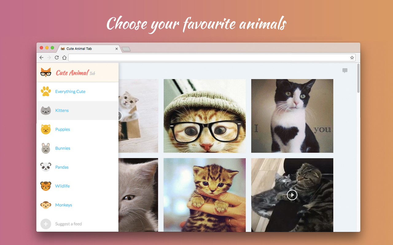 Cute Animal Tab - New Tab Theme Preview image 4