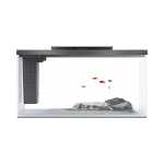 Blank fish tank