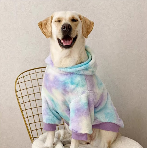 Title 3, Tie Dyed Large Dog Clothing Warm Keep Your Pup ...