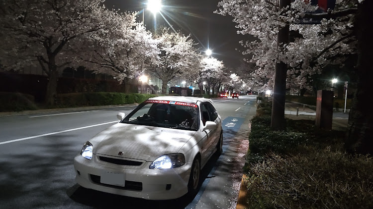 シビックタイプRのサクラと愛車・過去の思い出・S13シルビア・シャリーに関するカスタム事例の投稿画像2枚目