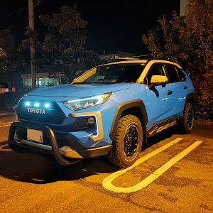 RAV4 MXAA54