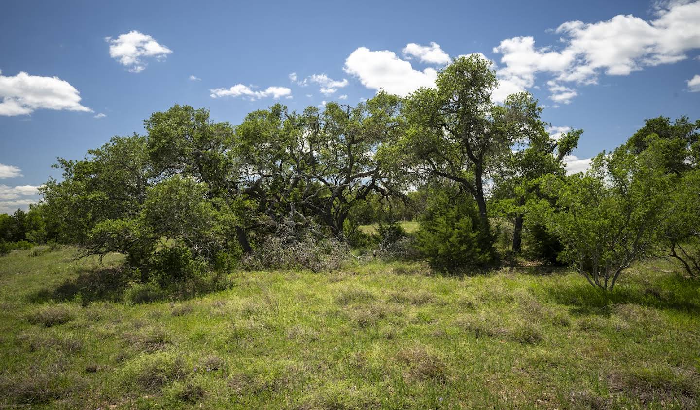 Terrain Boerne