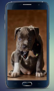How to mod Amazing Puppies Live Wallpaper 2.0 apk for android