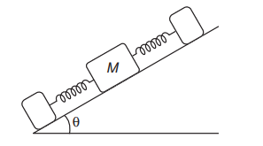 Spring-mass system