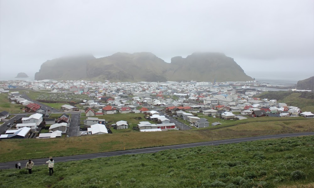 Islandia, un país que cautiva - Blogs de Islandia - 15/05/22. ISLAS VESTMAN (27)