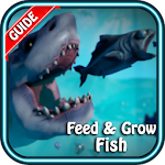 Cover Image of ดาวน์โหลด Guide For fish - feed & grow programs 1.1 APK