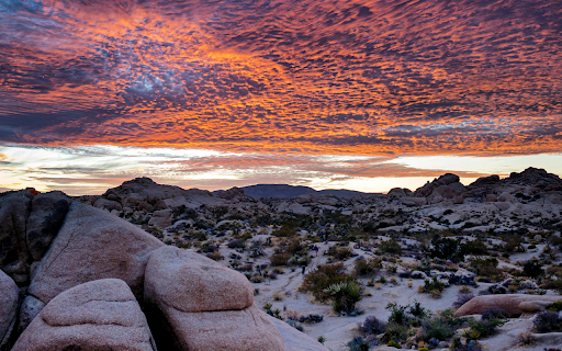 Sunset Landscape Preview 1