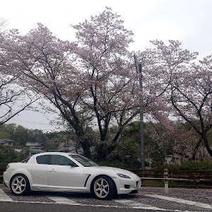 RX-8 SE3P