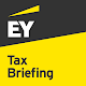 EY Tax Briefing Download on Windows