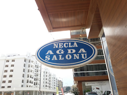 Necla Ağda Salonu