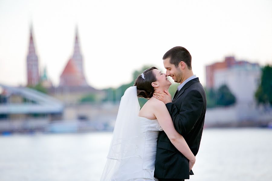 Wedding photographer Márton Bozsó (bozsomarton). Photo of 3 March 2019