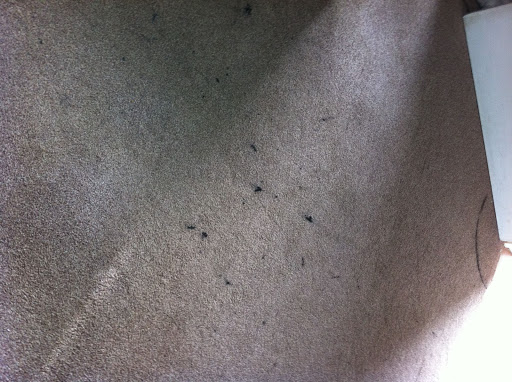 customer in farnborough, mascara stain