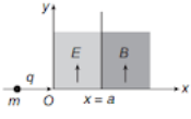 Motion in Combined Electric and Magnetic Fields