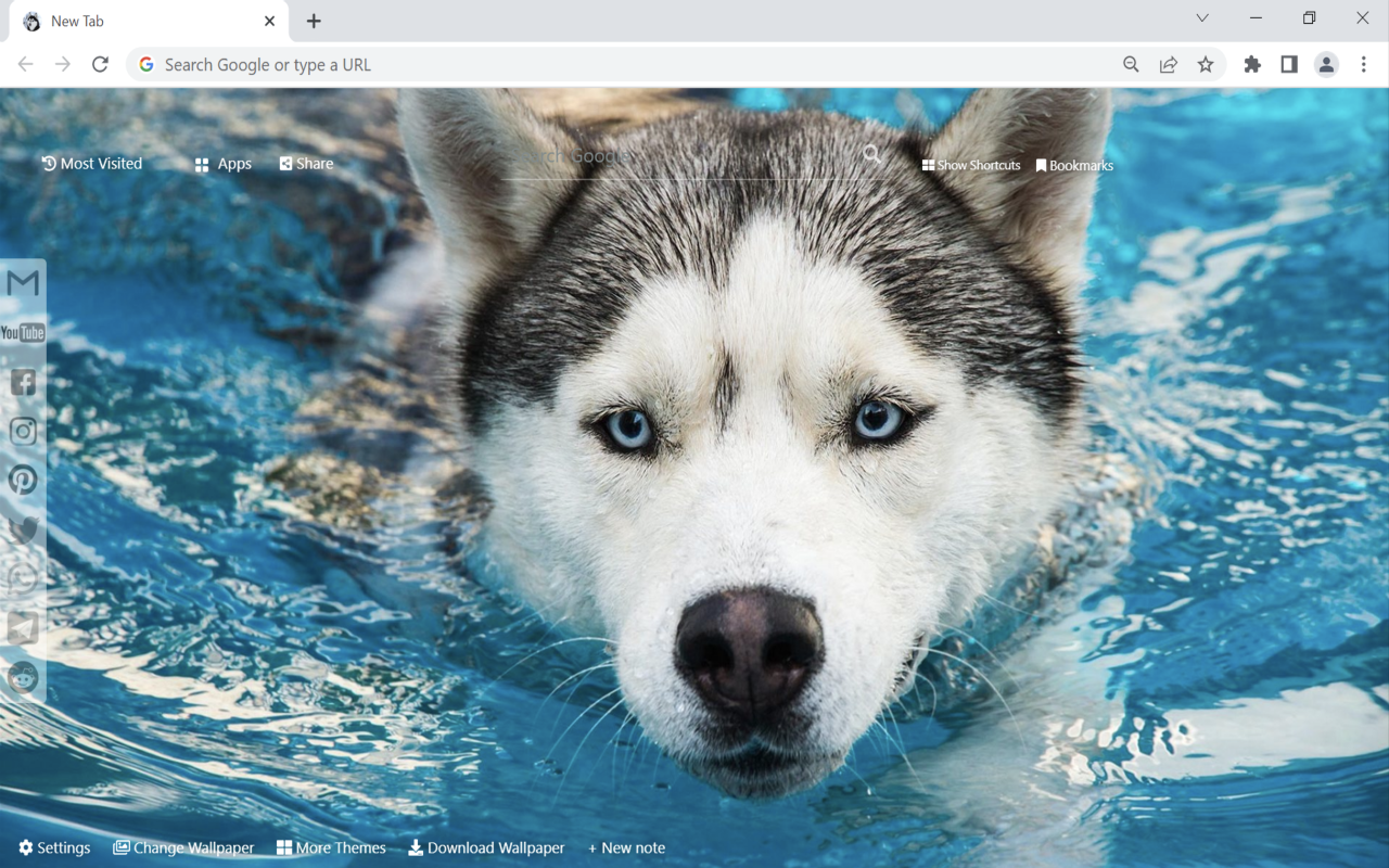 Husky Wallpaper Preview image 2