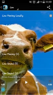 How to install Cow Sounds patch 1.2 apk for laptop