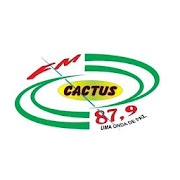 Cactus FM  Icon