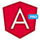 Complete Guide for Learning Angular 9+ [PRO] Download on Windows