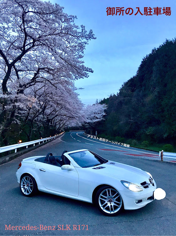 SLKのアネスト岩田 ターンパイク箱根・平成最後の桜・大観山展望台・富士山に関するカスタム事例の投稿画像2枚目