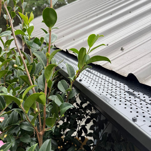 Gutter Guards Orange Beach AL