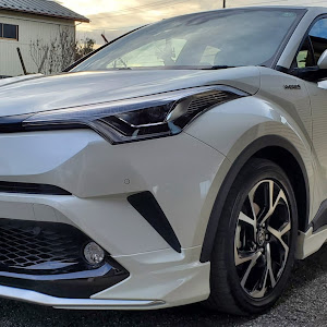 C-HR ZYX10