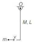 Angular momentum