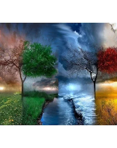 The Four Seasons Tree Painting By - 2
