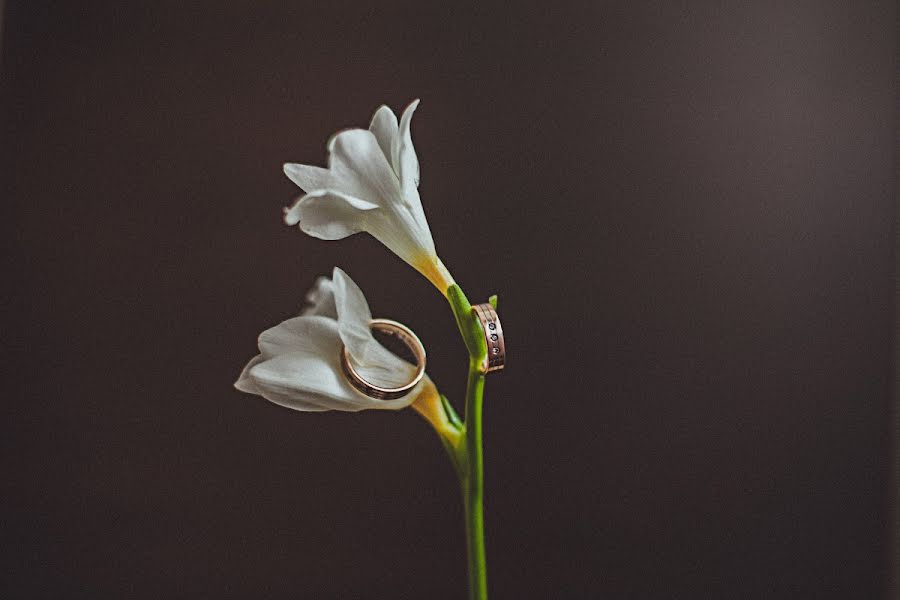 Düğün fotoğrafçısı Oksana Ladygina (oxanaladygina). 23 Haziran 2013 fotoları