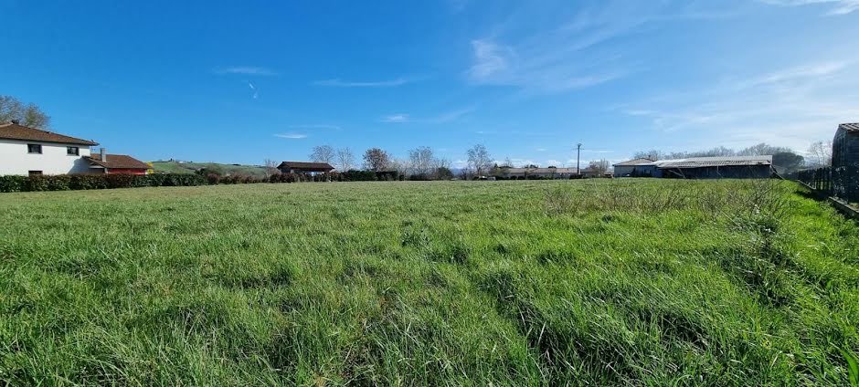 Vente terrain à batir  2091 m² à Montesquieu-Volvestre (31310), 150 000 €