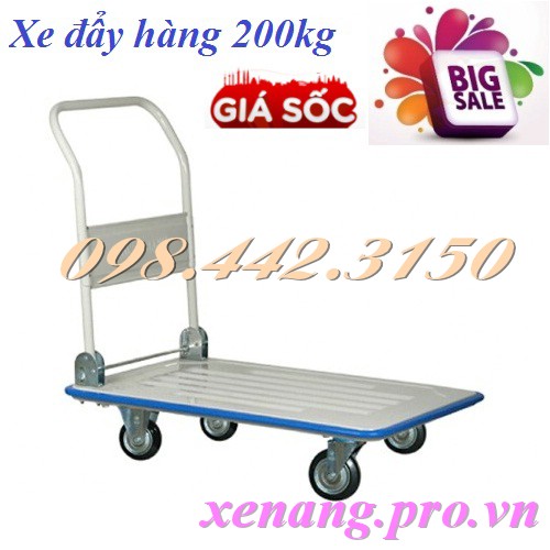 Xe đẩy 200kg XTB100DG