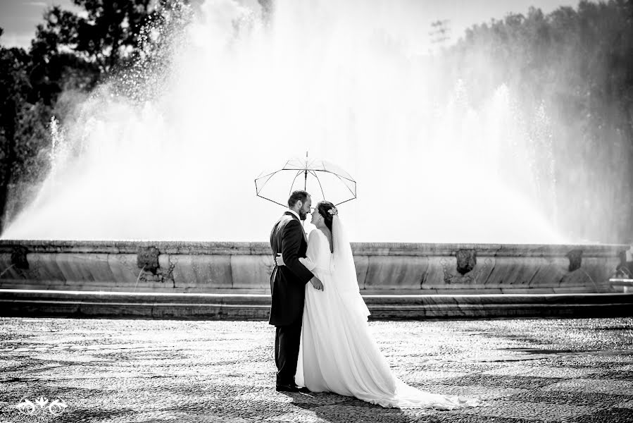 Fotógrafo de casamento Toñi Olalla (toniolalla). Foto de 2 de dezembro 2016