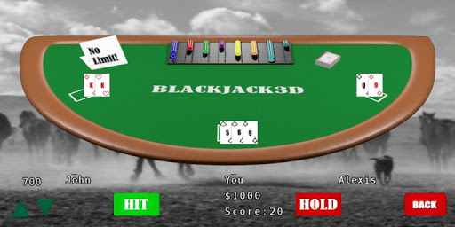 3d Blackjack Download