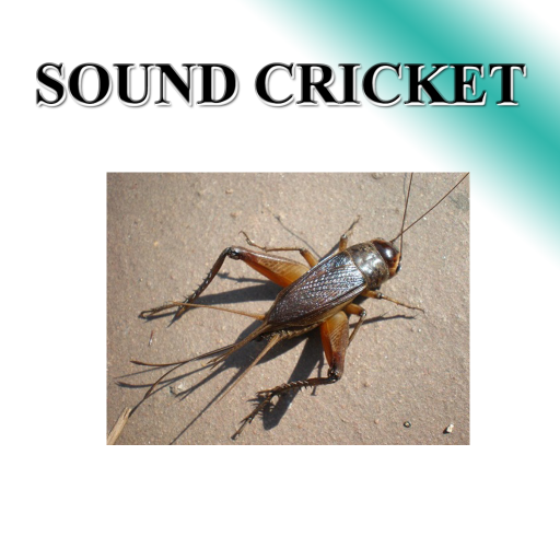 Cricket Sound Apps On Google Play