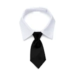 Type1 black