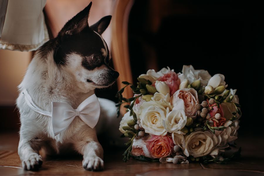 Wedding photographer Domenico Ferreri (ferreri). Photo of 28 April 2020