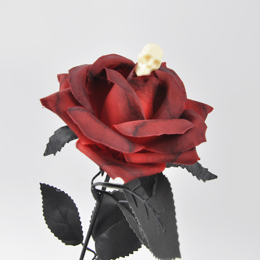 Title 3, Halloween Devils Eye Black Rose Twig Cutting P...