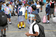 Calls for school closures are 'irresponsible', says the basic education department. File photo.